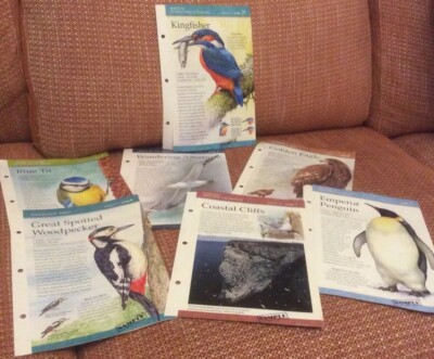 Vintage Birds of The World Sample Cards