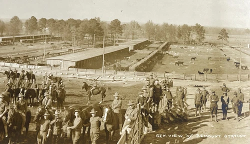 Camp Lee VA Panoramic Photo, Remount Station, Horses Equestrian, Military WW1