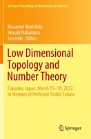 Masanori Morishita (U. A.) | Low Dimensional Topology And Number Theory | Buch
