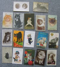 17 Postcards of Cats including comic and real photgraphs