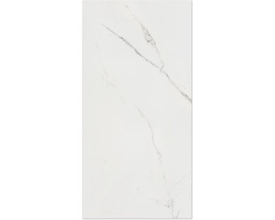 Feinsteinzeug Wand- und Bodenfliese WHITE RIVER 60 cm x 120 cm x 0,7 cm glänzend