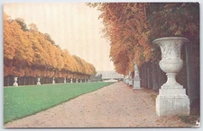 Vintage Chateau de Versailles Green Carpet Postcard by Editions A Noyer