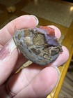 Amazing Lot Of BEAUTIFUL MIXED UTAH  ROCKS — photo 3