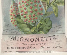DETROIT TRADE CARD, PRETTY MIGNONETTE, D M FERRY & CO.( SEED CO) w/ PRICES  V969