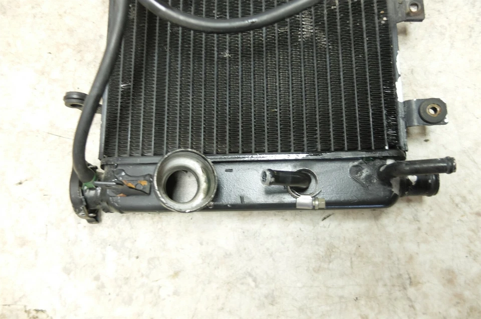 Cuatro radiadores Triumph Speed 4 02 Foto 2 de 4