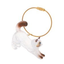 Pet Hair Storage Keychain Transparent Cat Shaped Keepsake Box For Pet Memory