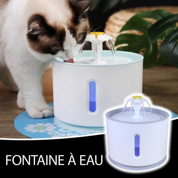 Fontaine pour chien et chat silencieuse pour un coin repas propre et serein