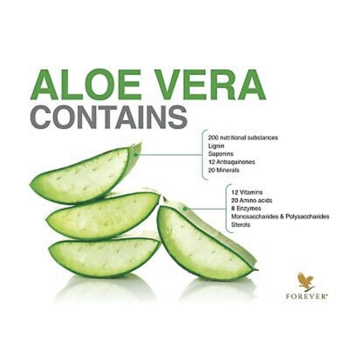 Forever C9 Aloe Vera Detox Program / Vanilla/ or Chocolate | eBay
