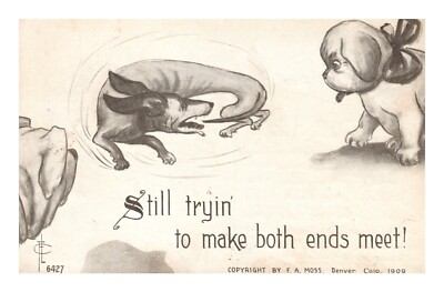 Postcard Still Trying to make Ends Meet Dog Chasing Tail Puppy FA Moss