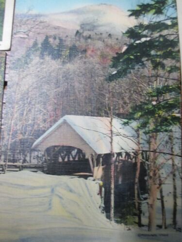 6 cartoline d'epoca antiche New Hampshire franconia tacca old man Maine Bears - Foto 7 di 10