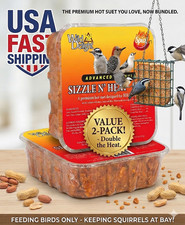 Wild Delight Bird Food Sizzle N Heat Spicy Suet 11.75 oz 2 Pack