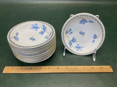 Set of 11 Rosenthal Blue Danube Fruit Dessert Bowls 5 1/4'' ~ US Zone Germany