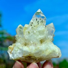 160G Natural Pineapple White Backbone Quartz Cluster Point Crystal Healing