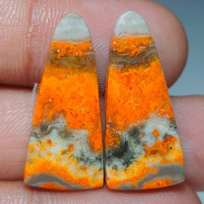 22.50 Cts Natürlicher Bumble Bee Jasper Fancy Paar Cab Lose Edelstein 12x26x4 mm