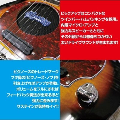 Pignose PGG-200 BS Brown Sunburst electric guitar with soft case