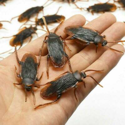 10pcs Prank Funny Magic Trick Joke Special Lifelike Fake Cockroach Roach Toy