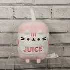 Apple Juice