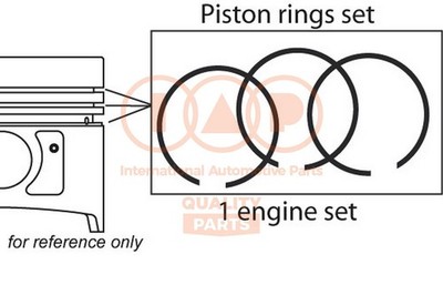 IAP QUALITY PARTS Elastic Band Kit 102-04050 for Ford