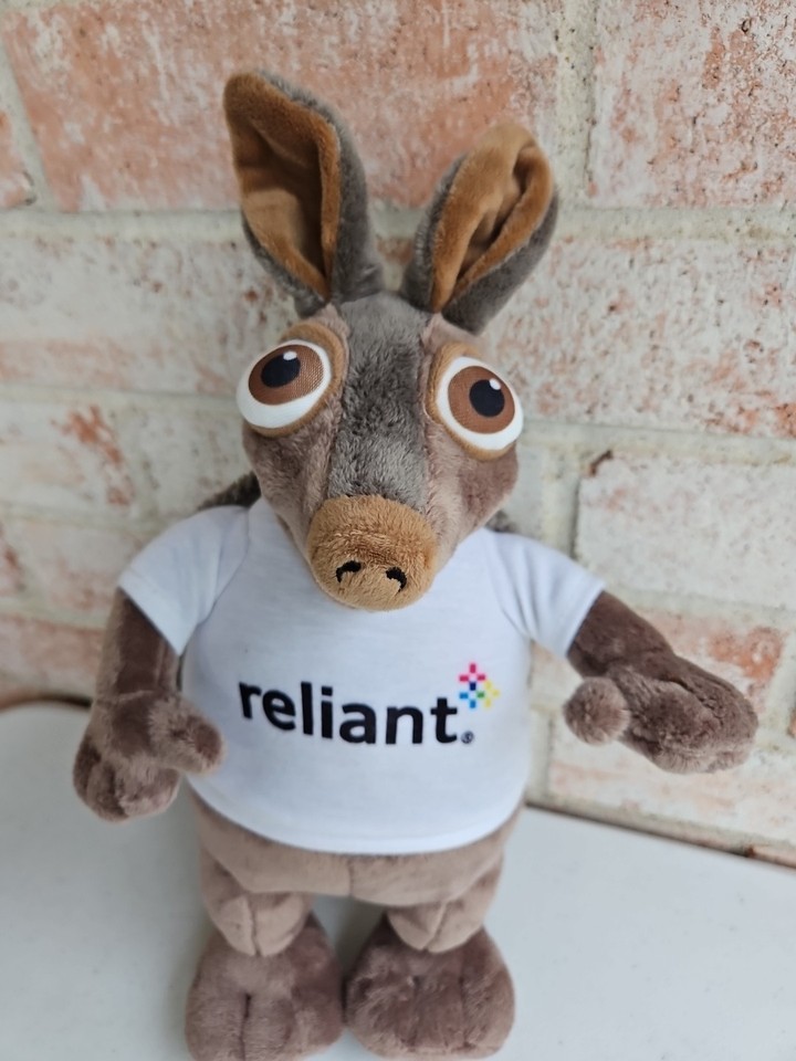 Reliant Energy Hugo Armadillo Mascot 15