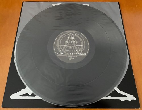 DEAD OR ALIVE "Gone 2 Long" JAPAN PROMO ONLY 12" SINGLE W/ UNIQUE PICTURE SLEEVE - Picture 5 of 9
