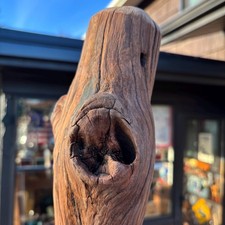 Reddish Driftwood Log 11x3x4 Hardwood Natural Wood with Beautiful Knot