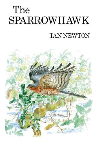 The Sparrowhawk by Ian Newton - 9781408138342