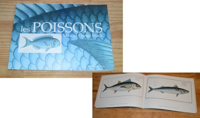 Livre Les Poissons Blancs - Leurs Mœurs, Leurs Pêches Par Gilbert Bordes (1985, 1ère édition)