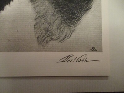 BEAUTIFUL 1931 Bert Cobb dry point etching print WIRE FOX TERRIER