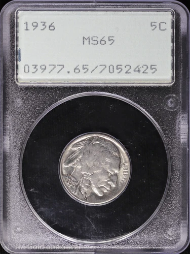 1936 5C Buffalo Nickel PCGS MS 65 | Rattler Holder Uncirculated UNC BU