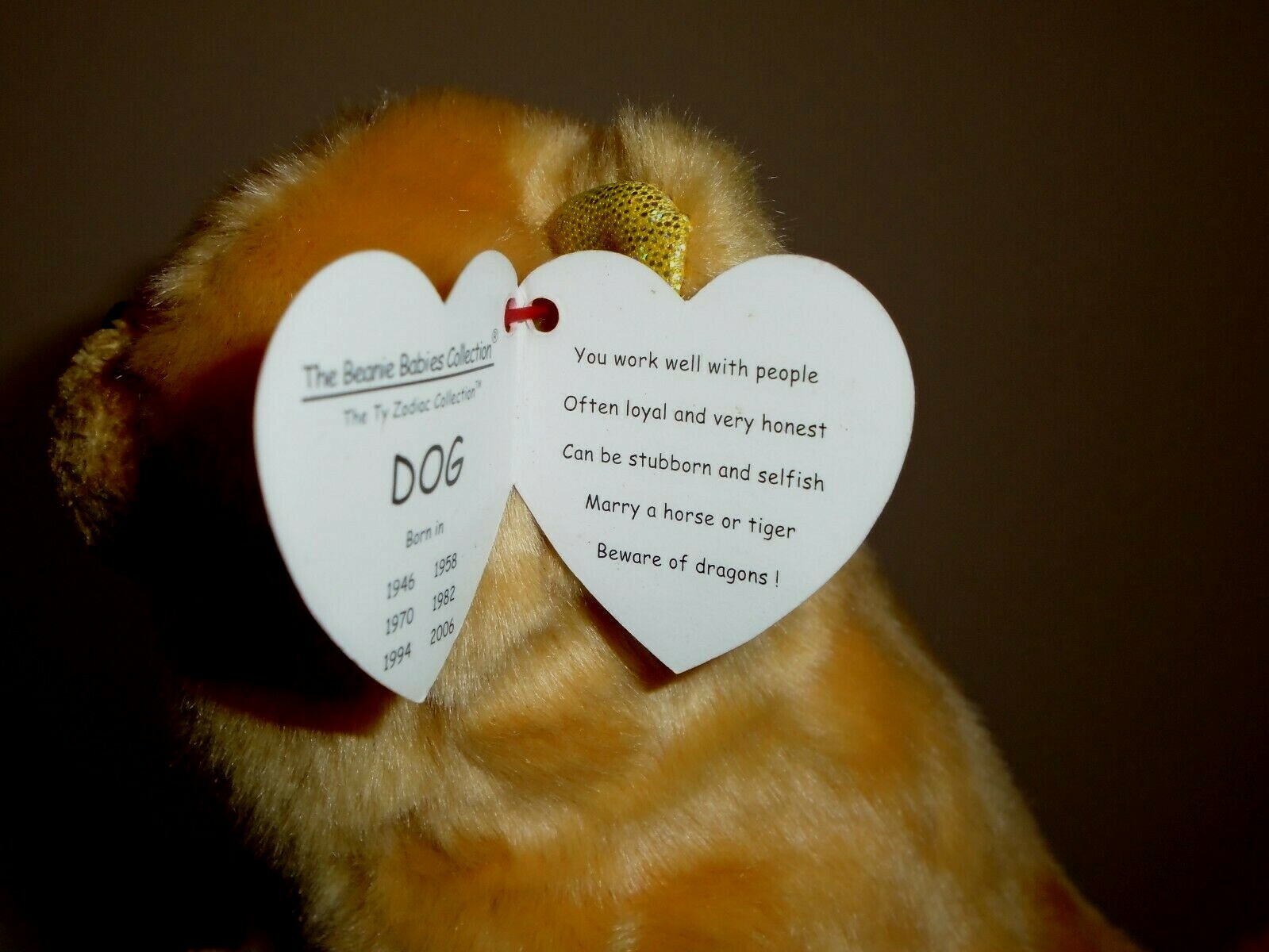 beanie baby tag for dogs