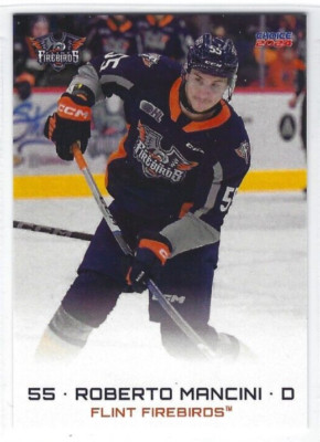 2023-24 Flint Firebirds (OHL) Roberto Mancini