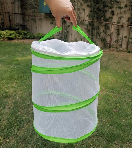 Trasfit Terrarium Pop-up pour insectes et papillons 30,5 x 35,6 cm - Foto 3 di 7