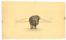 Hand Miniature Animal Painting Of Elephant Fine Art On Paper 11x6.5 Inches