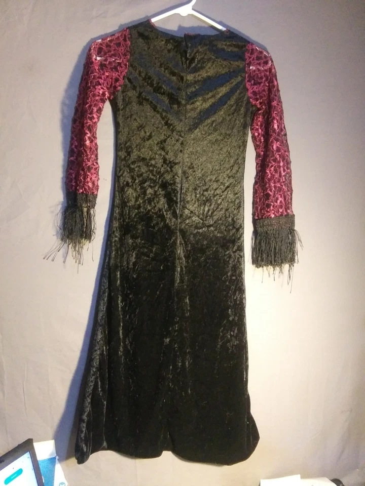 Fun World DIV Costume Dress Renaissance Maiden/Gothic Fairy Size 8-10 Medium - Image 2 of 3