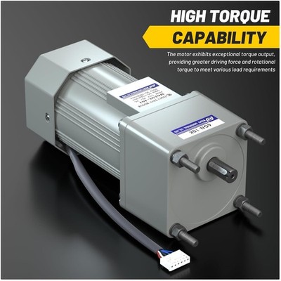 110V Variable Speed Motor + Gearbox, Reversible Rotation