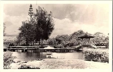 RPPC Scenic View of Liliʻuokalani Gardens in Hilo Hawaii Vintage Postcard