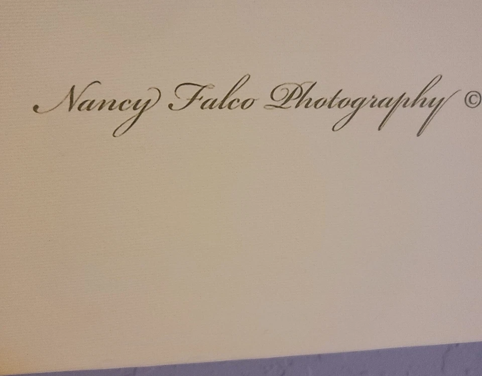 Lienzo envuelto en bellas artes rosate cuchara fotógrafa Nancy Falco 24x30 giclee Foto 2 de 4