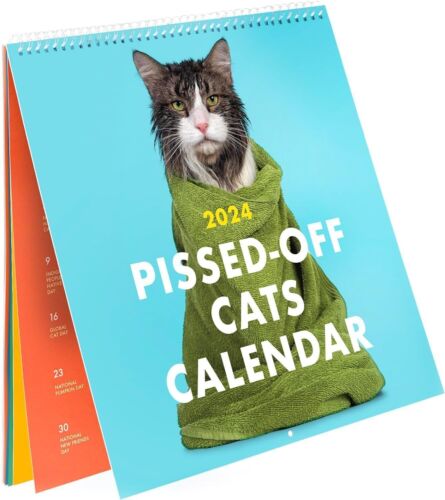 2024 Pissed-Off Cats Calendar / Funny Cat Wall Calendar - Afbeelding 1 van 6