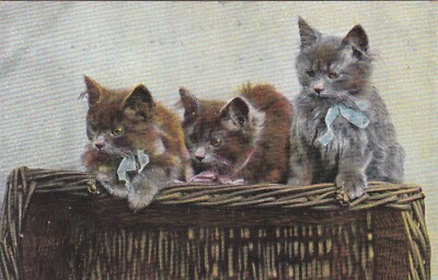 ANPC324) PC 3 Cats with Bows in a Basket, used 