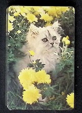 Trump Playing Card Joker Cat Chrysanthemum Flowers Made in USA