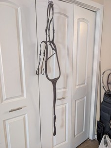 Prestige Breastplate “D35” Anatomic 2 Point with Bridge Horse size