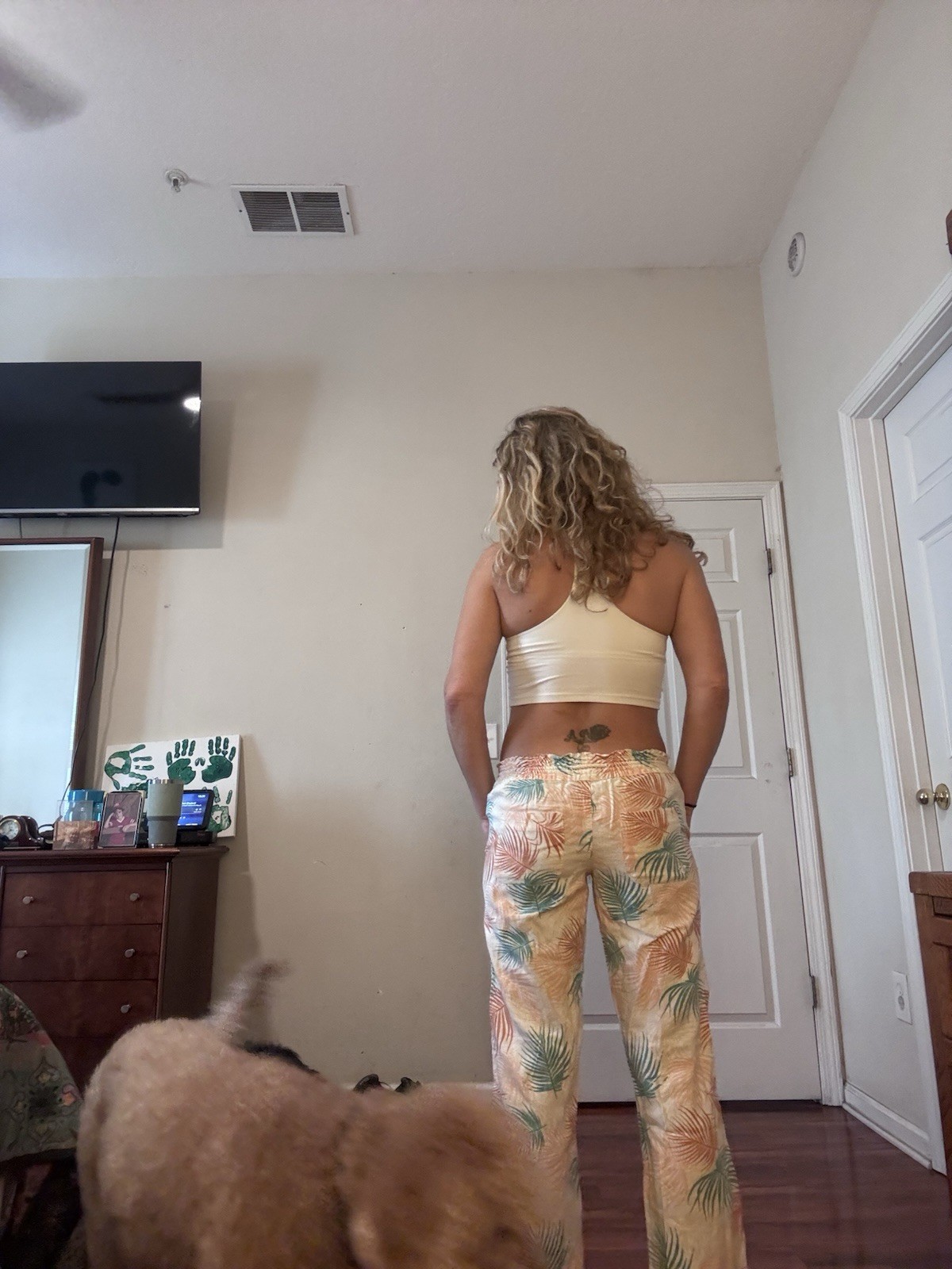 roxy womens multicolor drawstring ankle pants rel… - image 2