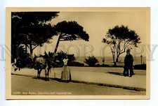 523014 Italy Sanremo San Remo Garden of the Empress girl with donkey photo