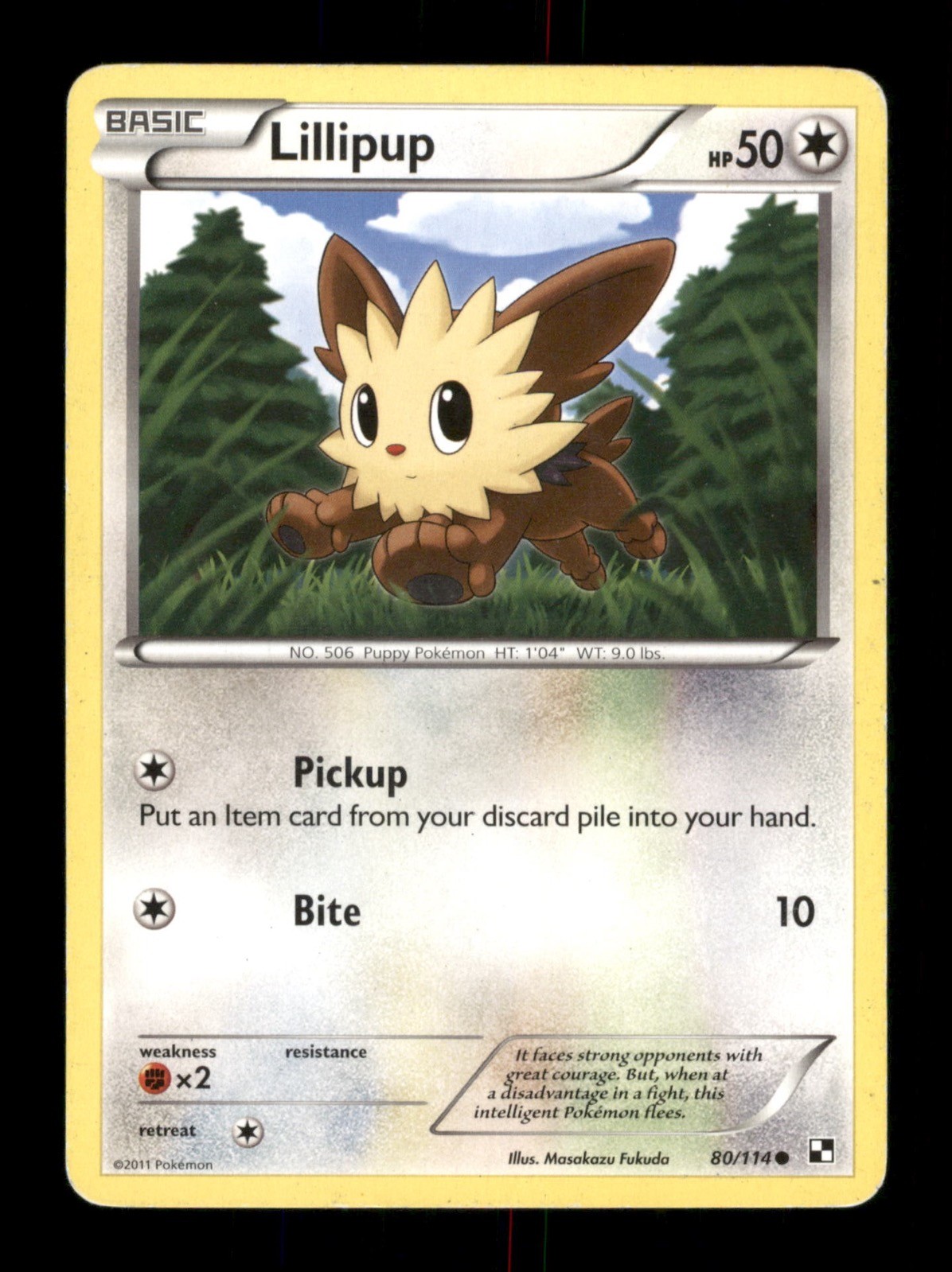 Lillipup 80/114 Non-Holo Nintendo  Pokemon Trading Card TCG 