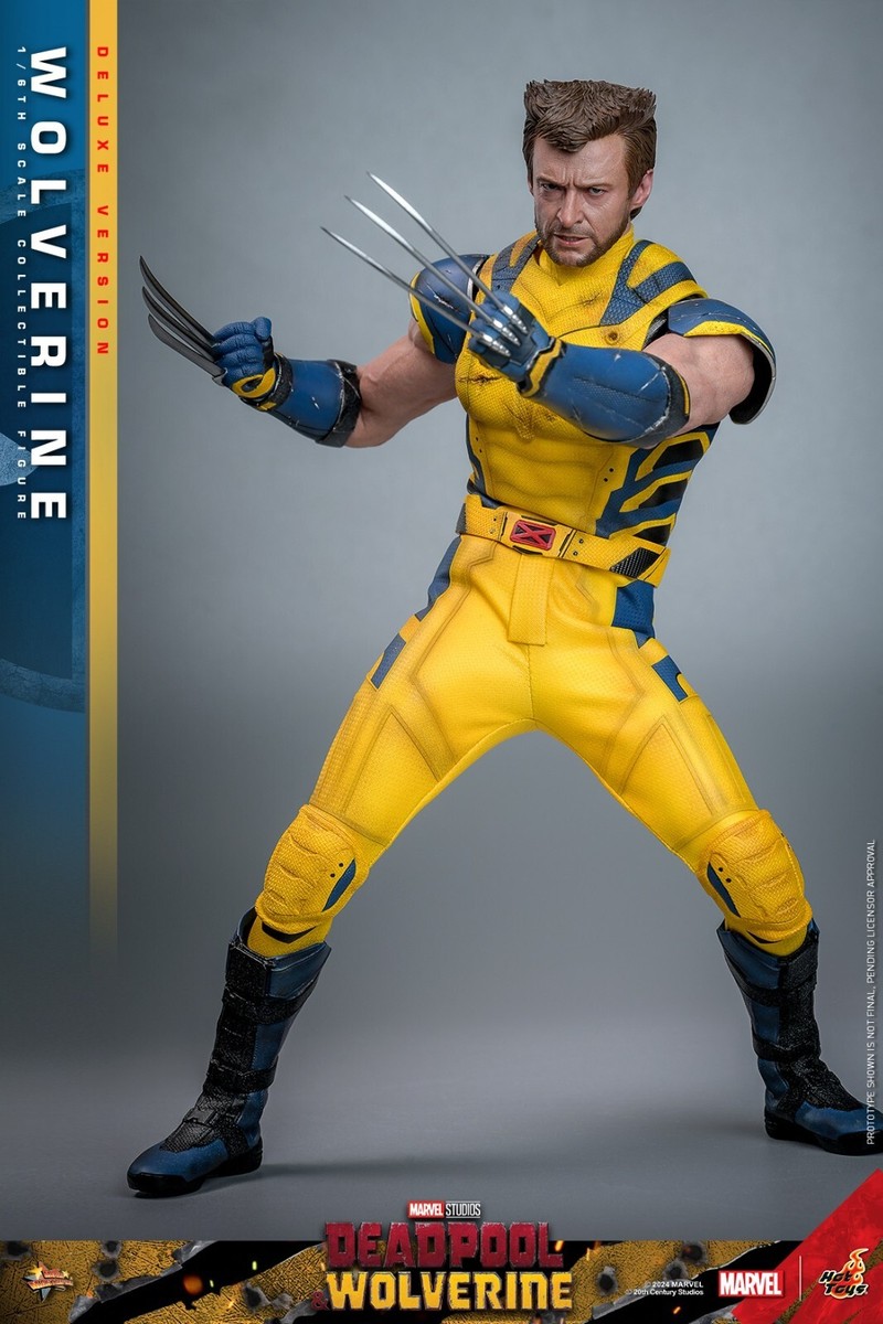 Pre-Sale Hot Toys MMS754 1/6 Deadpool & Wolverine Wolverine Pre-Sale Hot Toys MMS754 1/6 Deadpool & Wolverine Wolverine
