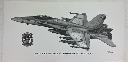 FA-18C “Hornet” VFA-105 Gunslingers NAS Oceana, VA Pilot 401