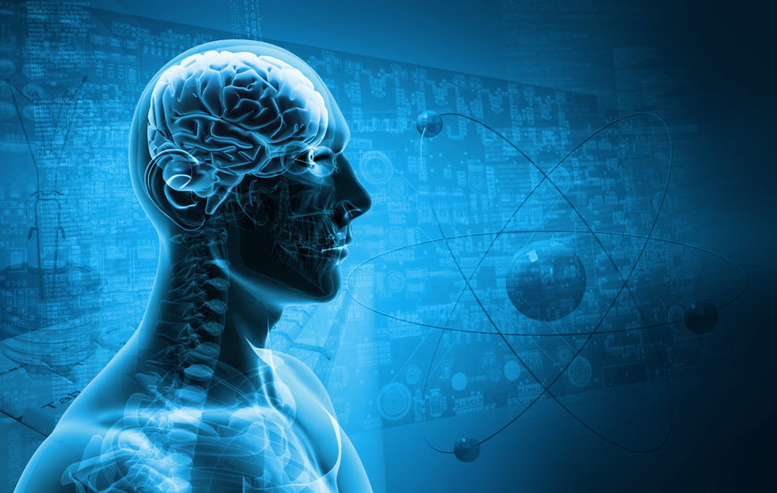 Anti-aging essential oil - RASPBERRY KETONES – GRAPE SEED EXTRACT COMBO - grape  thumbnail 9