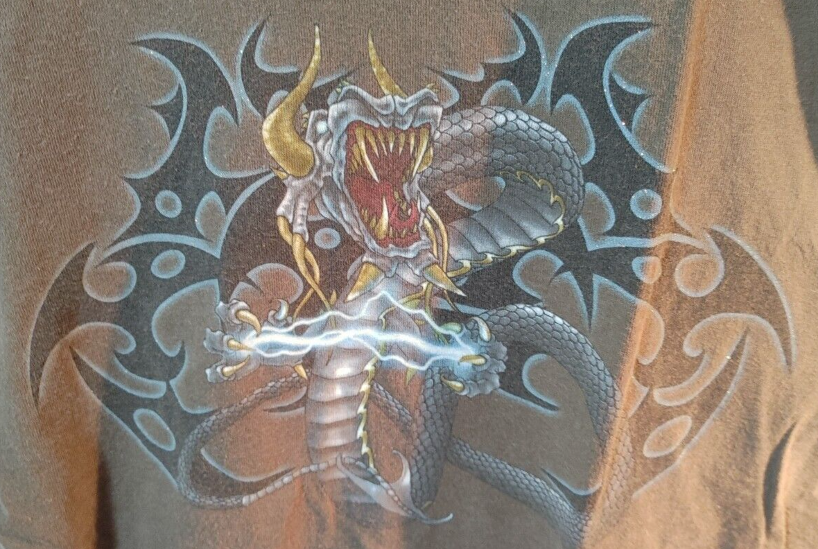 Sonoma Dragon Graphic Large Short Sleeve Tee Brown With Metallic Accents - As Is