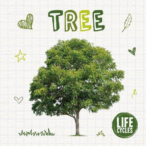 Holly Duhig Tree (Hardback) Life Cycles