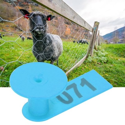 Blue Numbered Ear Tag Marks Labels For Sheep Goats Farm Animal Livestock Feeding